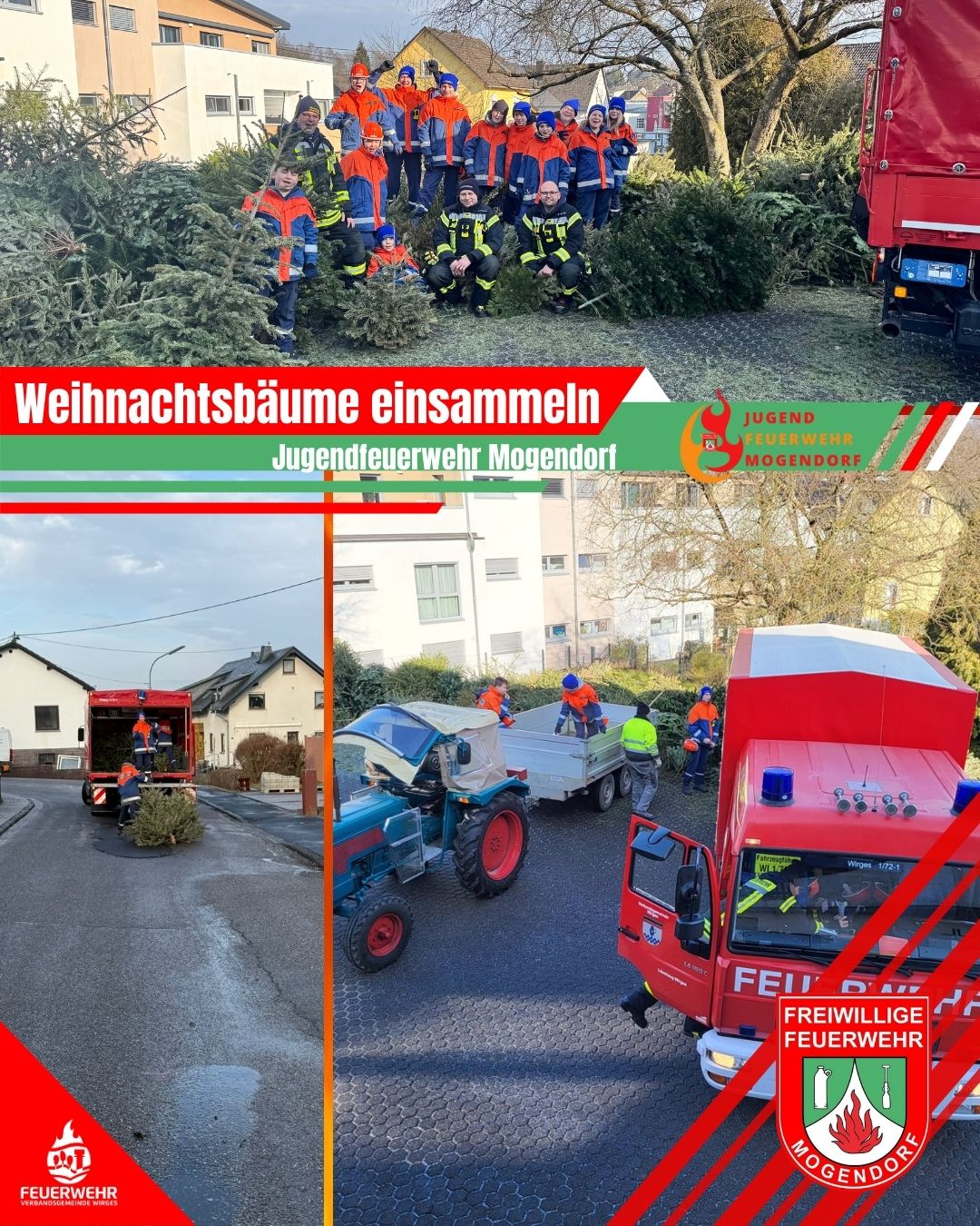 Weihnachtsbäume2026 neu